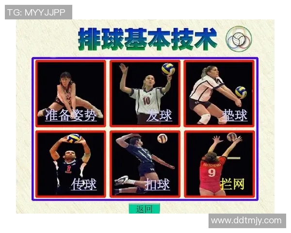 广州排球队反击战术深度解析与实战应用探讨